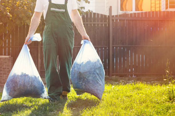 Trusted Dexter, NM Junk Removal Experts